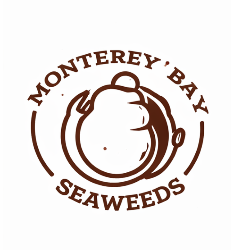Monterey Bay Seaweeds